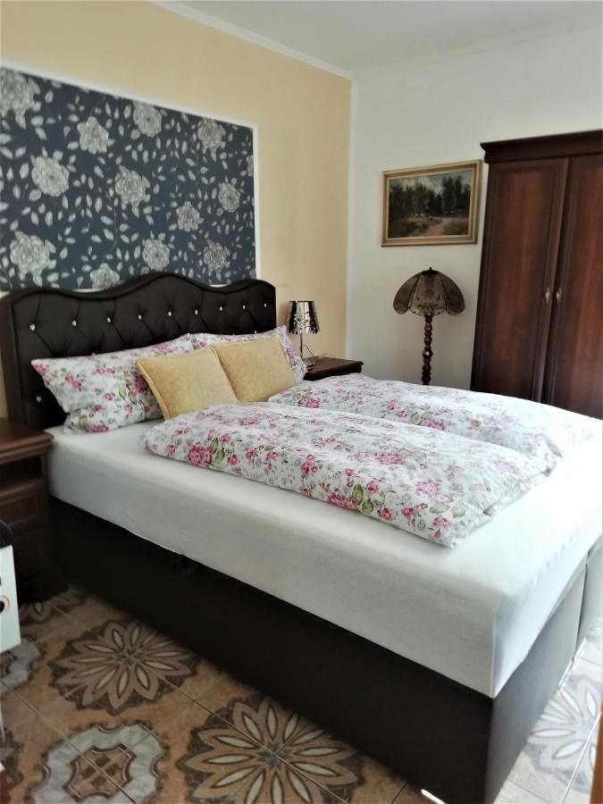 Penzion Pohoda - Apartmany 耶塞尼克 外观 照片